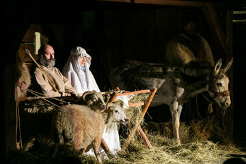 Živý betlém Živý betlém
