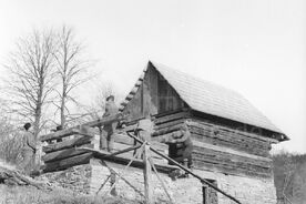 3_Roubení chléva, 1962 / Timbering the cowshed, 1962