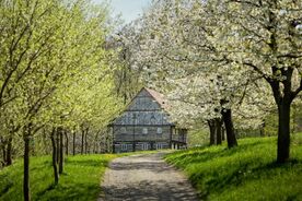 Muzeum v přírodě Zubrnice, Mlýnské údolí