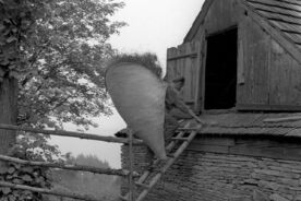 3. Přenášení sena v trávnici, 1966 / Carrying straw in a canvas, 1966