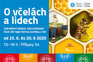 O včelách a lidech