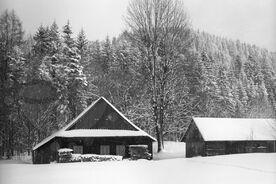 1_Mlýn se stodolou ve Velkých Karlovicích, 1971 / The mill with the barn in Velké Karlovice, 1971