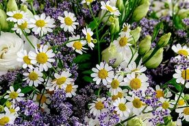 Floristický workshop – vypichované podzimní aranžmá 