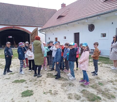 Edukační program: U Matoušů na dvorečku