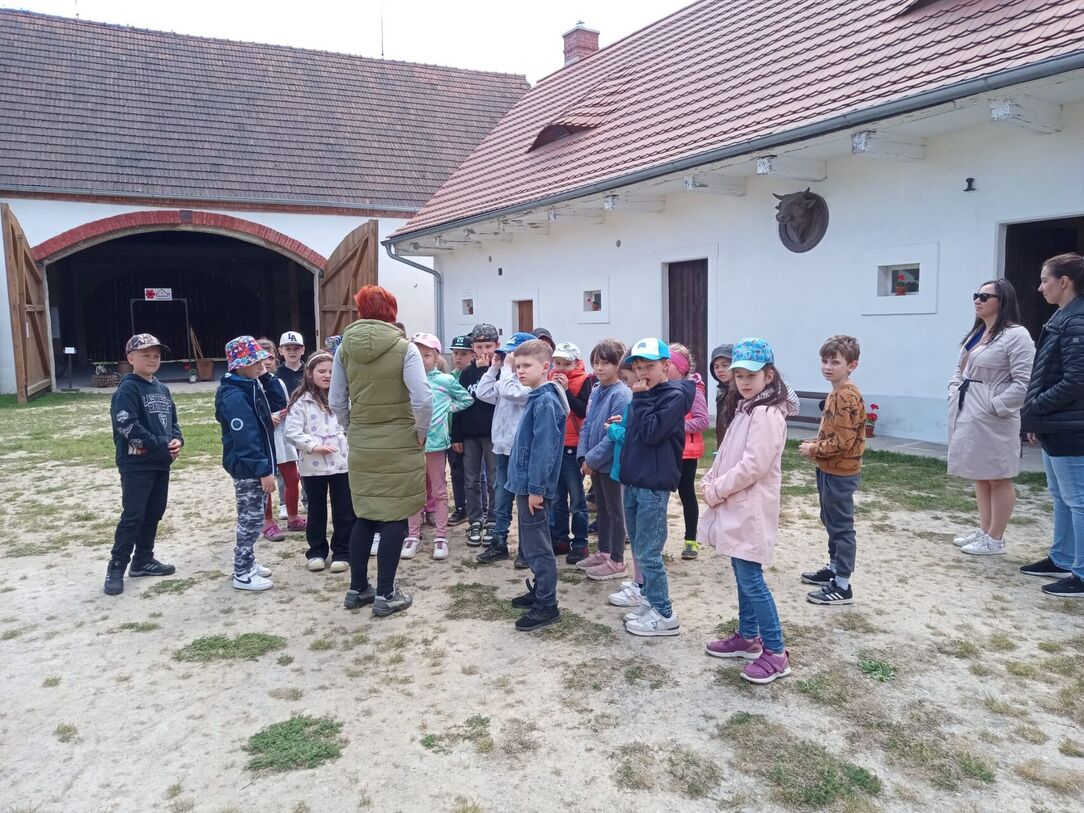 Edukační program: U Matoušů na dvorečku