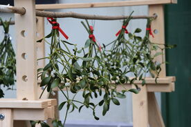 Muzeum v přírodě Zubrnice, Vánoce v Zubrnicích