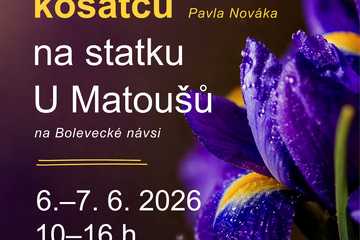 Výstava velkokvětých kosatců 