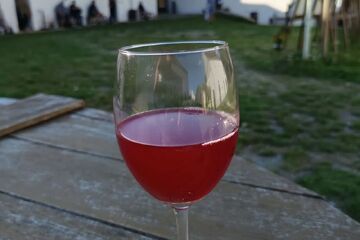 Bolevecké vinobraní