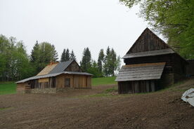 Kolibiska 