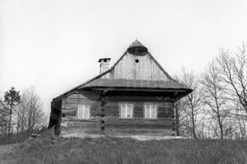 9_Usedlost v muzeu, 1963 / The farmstead at the museum, 1963