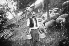 1. Bača nese mléko v geletách, 40. léta 20. století / A shepherd carrying milk in pails, the 1940s