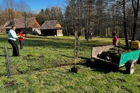 Z dobrovolnictví firmy Vodafone na Veselém Kopci, 2025. Foto: Muzeum v přírodě Vysočina, Matěj Černý