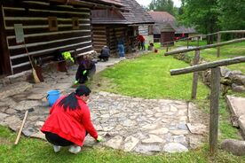 Dobrovolníci na Veselém Kopci, 2024. Foto: Jan Holík, Muzeum v přírodě Vysočina
