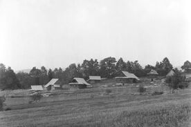 9_Valašská dědina, nově vytvořená Mališova pasekářská kula, soubor tří usedlostí ze Študlova, z Lužné a z Horní Bečvy - Janinovy lúky, 1964 / The Wallachian Village, the newly created group of cottages of the Mališ family, a group of three homesteads from Študlov, Lužná and Horní Bečva - Janinova Lúka, 1964