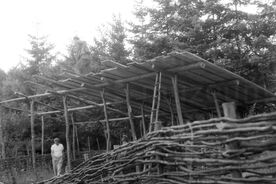 2_Valašská dědina, úprava deskové střechy pajty, v popředí košárový vyplétaný plot, 1967 / The Wallachian Village, fitting the board roof of the open shed, in the foreground the wicker fence of a moveable sheep enclosure, 1967