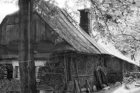 4_ Dům čp. 12 v Trojanovicích Trojanovice, zásoba uloženého dřeva na zimu, 1980 / House no. 12 in Trojanovice, supply of firewood stored for the winter, 1980
