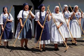 Muzeum v přírodě Vysočina, Veselý Kopec, Veselokopecký jarmark