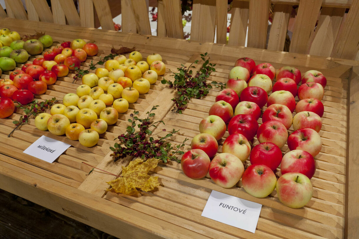 Úroda z polí, zahrad a sadů aneb Valašský hortikomplex 