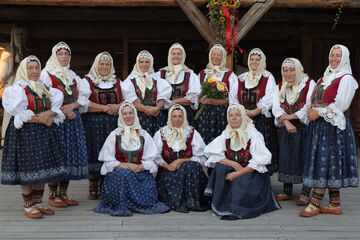 Pěvecký sbor Karlovjanky
