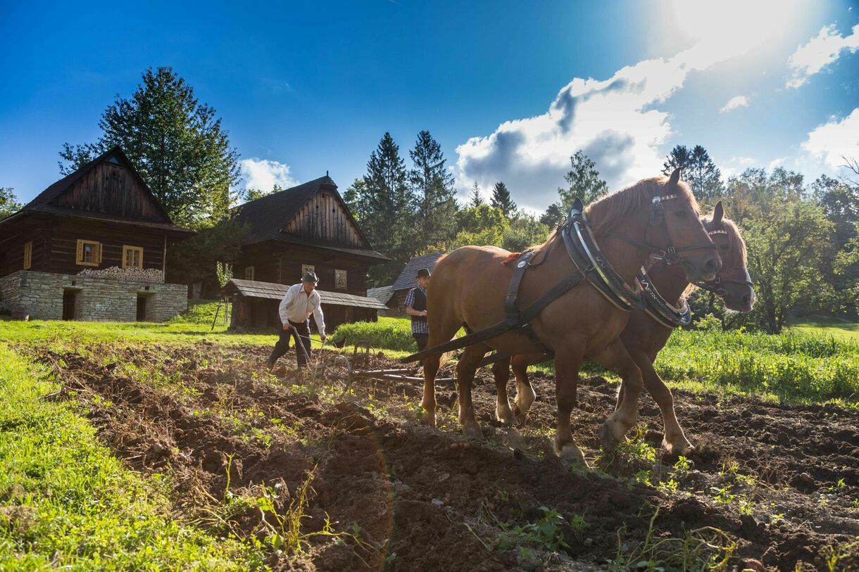 ZRUŠENO - Podzim na poli a v chalupě