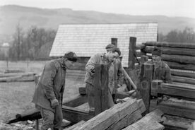 6_Stavba sušírny ovoce v muzeu, 1964 / Construction of the fruit-drying shed at the museum, 1964