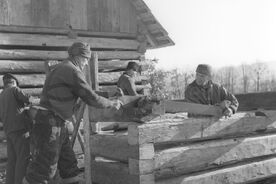 2_Valašská dědina, roubení stěn chléva, 1962 / The Wallachian Village, timbering the walls of the cowshed, 1962