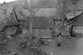 3_Usedlost čp. 38, dům a hospodářské stavby, 1964 / Farmstead no. 38, house and farm buildings, 1964