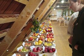 Muzeum v přírodě Zubrnice, Podzim na vesnici