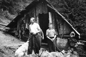 2. Ke každému salaši neodmyslitelně patřil také hlídací pes, 50. léta 20. století / A sheepdog belonged inseparably to every shepherd’s hut, the 1950s