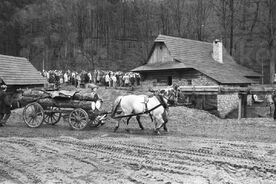 9_ Mlýnská dolina – slavnostní otevření, koně táhnou vůz s naloženým dřevem k pile, 1983 / Water Mill Valley – ceremonial opening, horses pulling a wagon with timber for the sawmill, 1983