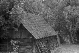 1_Valcha ve Velkých Karlovicích, 1971 / The fulling mill in Velké Karlovice, 1971