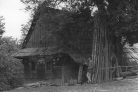 1_Karolinka-Rákošové, dům čp. 446 na horské pastvině, 1963 / Karolinka-Rákošové, house no. 446 on a mountain pasture, 1963