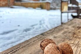 Hanácké muzeum v přírodě