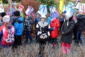 Muzeum v přírodě Vysočina, Rozloučení s masopustem 17. 2. 2026