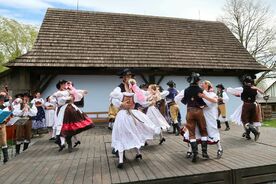 Muzeum v přírodě Vysočina