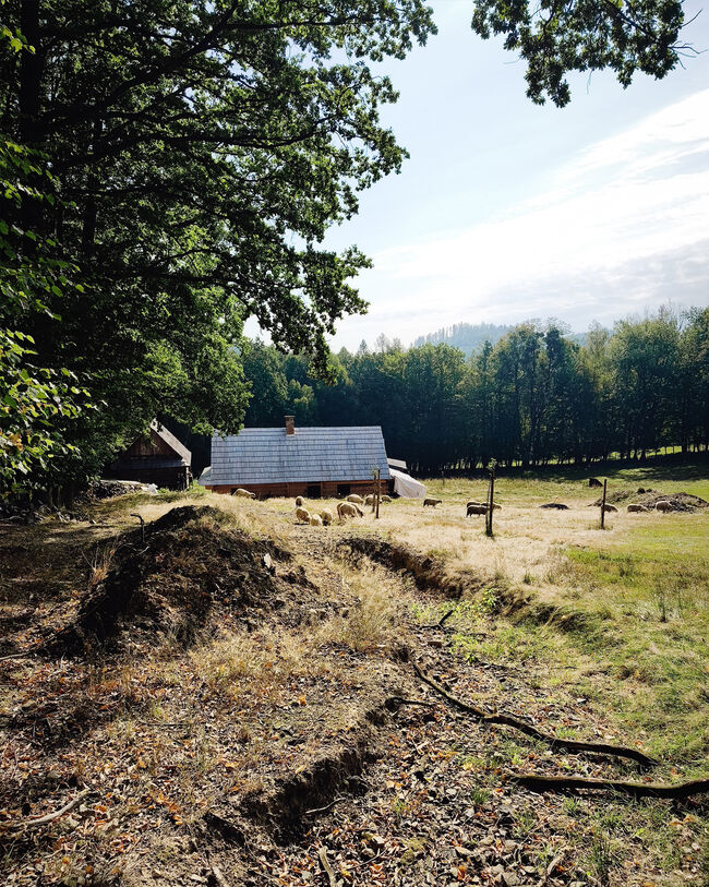 Den architektury 2026: Kolibiska