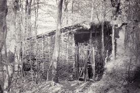 4. Nedašova Lhota – pletený chlév, 1950 / Nedašova Lhota – wicker cowshed, 1950