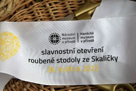 Hanácké muzeum v přírodě Příkazy, slavnostní otevření stodoly ze Skaličky