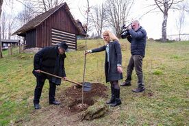 Muzeum v přírodě Vysočina, sázení stromů