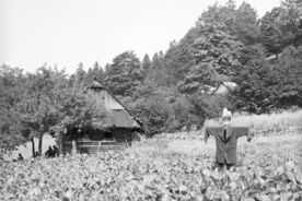 1. Kurlok – zástupce archaické formy bydlení na Těšínsku, 60. léta 20. století / House with a smoke room – an archaic kind of dwelling in the Těšín area, the 1960s