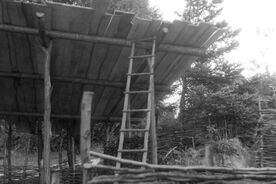 1_Valašská dědina, stavba pajty v muzeu, 1967 / The Wallachian Village, construction of the open shed at the museum, 1967