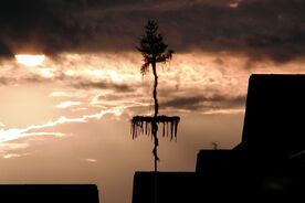 Máj v Nekoři, datace neznámá. Foto: Autor neznámý