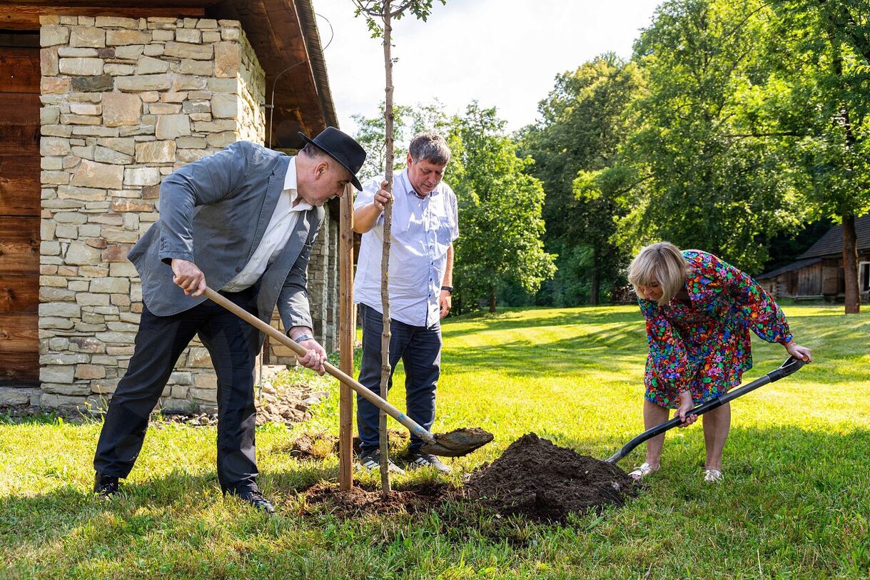 výsadba stromu, 16. 7. 2025