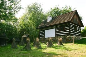 Len na Veselém Kopci, 2022. Foto: Nikola Pospíšilová, Muzeum v přírodě Vysočina