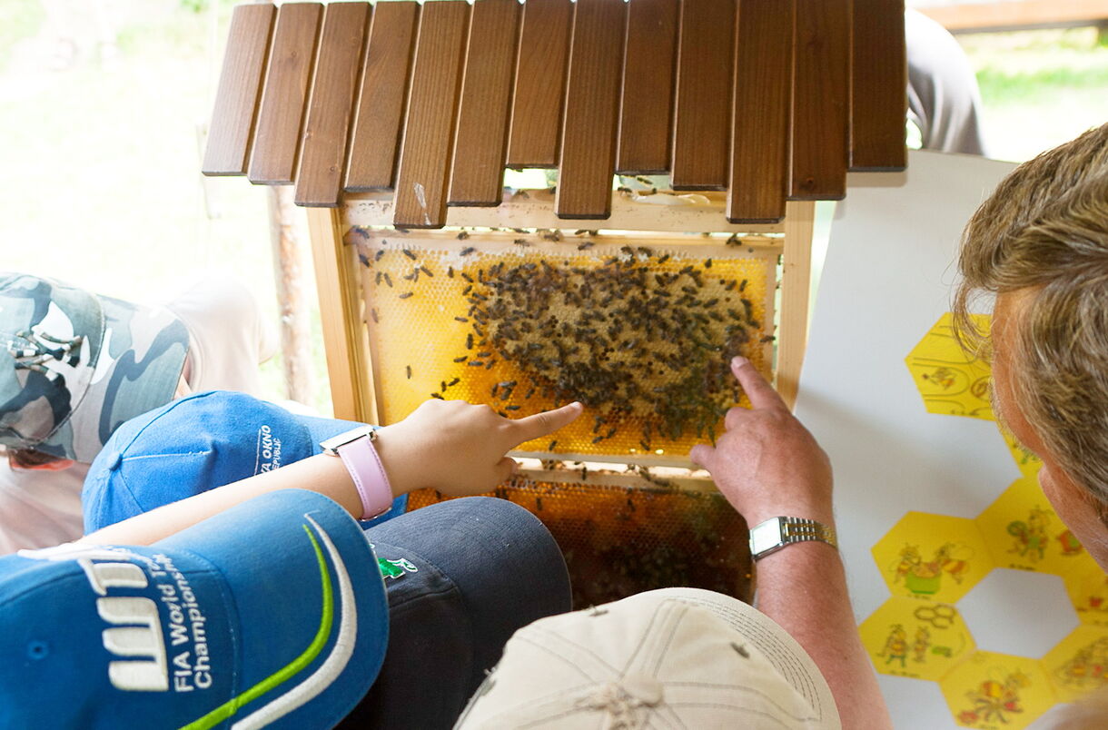 Jak Valaši chovali včely