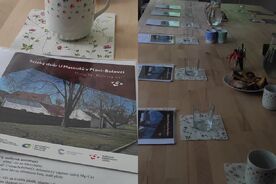 Zahradníkův rok-Škůdci 8