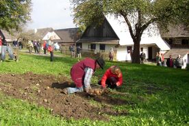 Muzeum v přírodě Vysočina, Veselý Kopec, Bramborová sobota