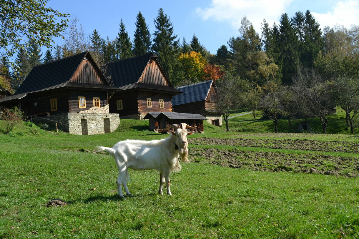 Příběh pěti chalup