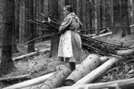6. Žena nesoucí krkošky, 1953 / A woman carrying firewood, 1953