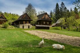 Valašské muzeum v přírodě, Valašská dědina